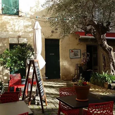 Appartement Et Jardin En Centre