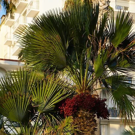Et Jardin En Centre Apartment